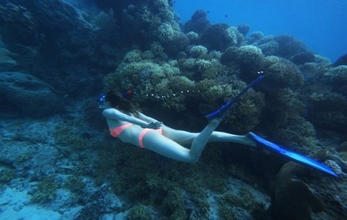 snorkeling-vanuatu-island